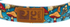 RC Pet Eco Dog Leash - 3/4" x 5' - Funky Fungi