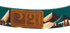 RC Pet Eco Dog Leash - 3/4" x 5' - Serene Slopes