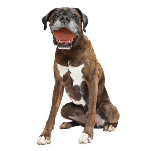 Bark Chompionship Football Durable Super Chewer Fetch Dog Toy