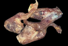 Ranch To Bowl Lamb Tendon Dog Treat - Small and Medium Breeds