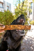 Redbarn Bully Slices Dog Treats - Hickory BBQ - 9oz Pouch