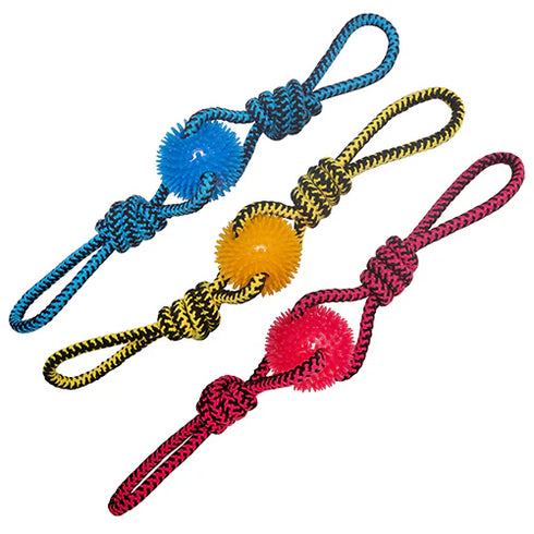 Snugarooz Spikey Baby Dog Toy - Assorted Colors