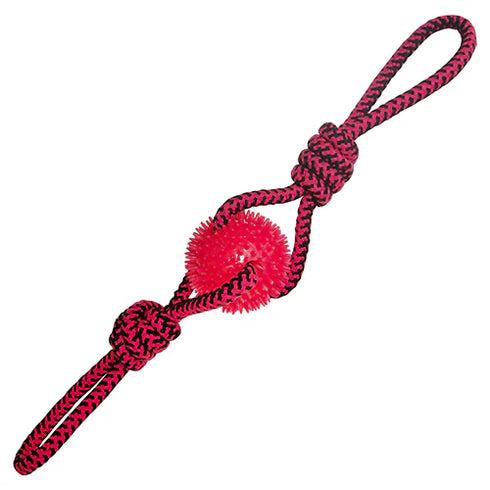 Snugarooz Spikey Baby Dog Toy - Assorted Colors