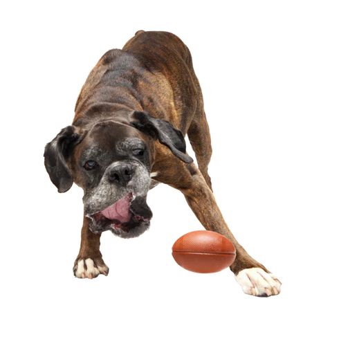Bark Chompionship Football Durable Super Chewer Fetch Dog Toy