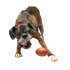 Bark Chompionship Football Durable Super Chewer Fetch Dog Toy