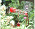 Gold Crest Window Wonder One Tube Hummingbird Feeder