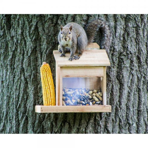 Gold Crest Squirrel Cafe Feeder