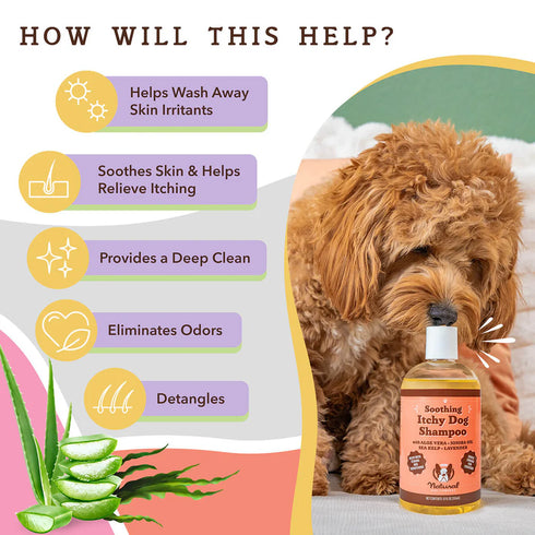 Natural Dog Company Itchy Dog Shampoo For Dogs - 12oz Pump Bottle