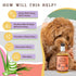 Natural Dog Company Itchy Dog Shampoo For Dogs - 12oz Pump Bottle