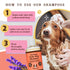 Natural Dog Company Itchy Dog Shampoo For Dogs - 12oz Pump Bottle
