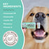 Natural Dog Company Snout Soother Dog Skin Balm - 2oz Stick