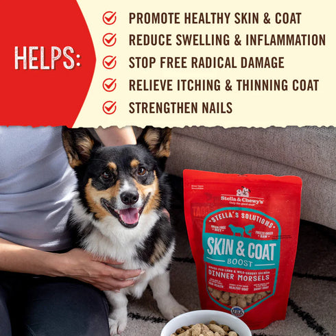 Stella & Chewy Stella's Solutions Skin & Coat Freeze Dried Dog Food - Lamb - 4.25oz Bag