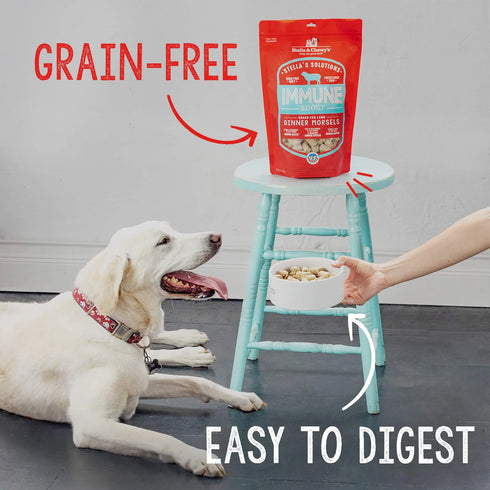 Stella & Chewy Stella's Solutions Skin & Coat Freeze Dried Dog Food - Lamb - 4.25oz Bag