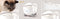Catit Pixi Cat Water Fountain Stainless Steel Top