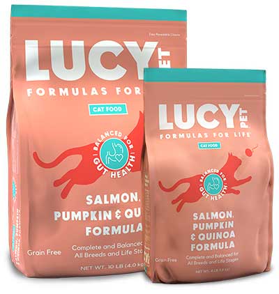 Lucy Pet Grain Free Dry Cat Food - Salmon, Pumpkin, & Quinoa - 4lb Bag