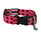 Tulum Handmade Quick Release Dog Collar - Assorted Colors - MD-LG