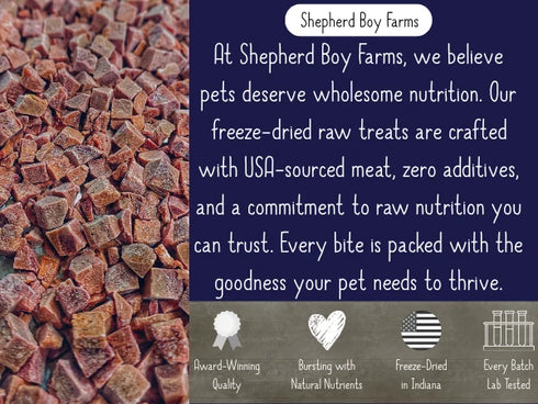 Shepherd Boy Farms Freeze Dried Dog Treat- Lobster & Coconut - 2oz Bag