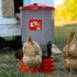 Happy Hen Silo Chicken Feeder - 50lb