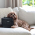 Cleverpup Bistro Box Dog Food Travel Kit - Small - Graphite