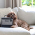 Cleverpup Bistro Box Dog Food Travel Kit - Small - Heather Grey