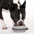 Cleverpup Nomad Collapsible Travel Dog Bowl - Small - Grey