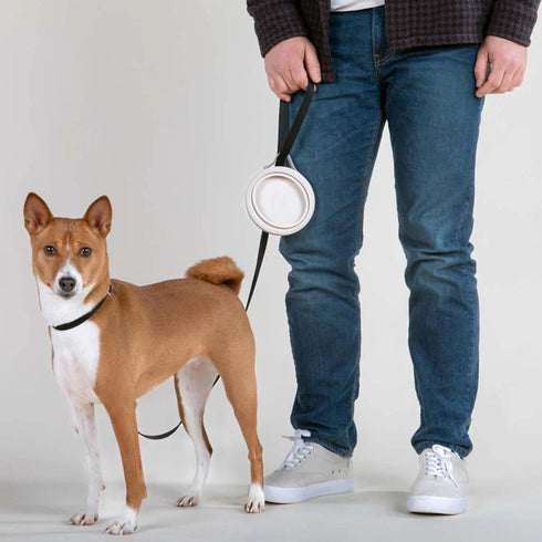 Cleverpup Nomad Collapsible Travel Dog Bowl - Small - Sand