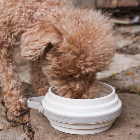 Cleverpup Nomad Collapsible Travel Dog Bowl - Small - Sand