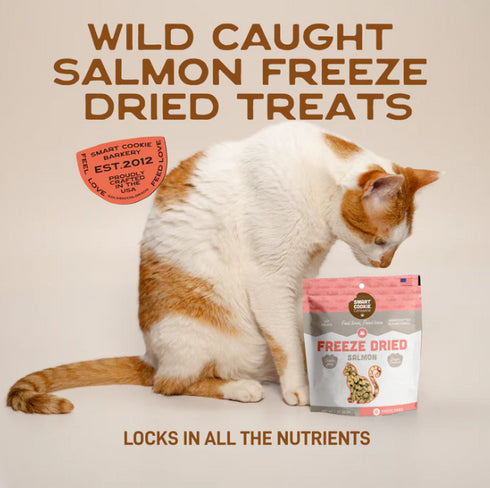 Smart Cookie Freeze Dried Cat Treats - Salmon - 1oz Pouch