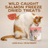 Smart Cookie Freeze Dried Cat Treats - Salmon - 1oz Pouch