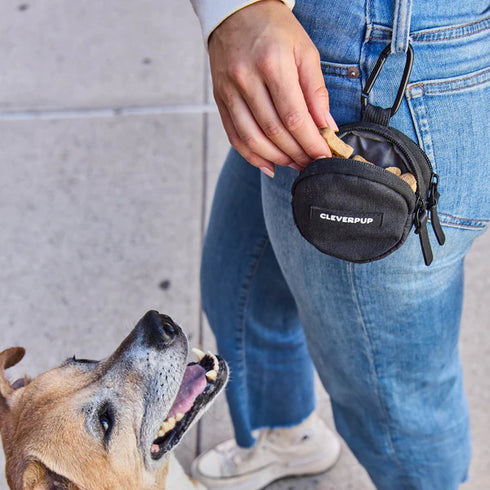 Cleverpup Snackpack Double Insulated Dog Treat Pouch - Graphite