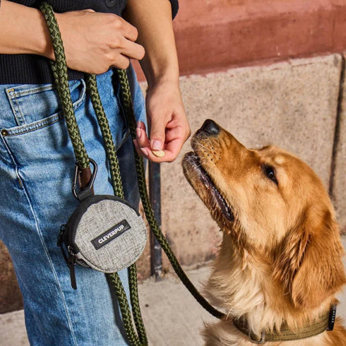 Cleverpup Snackpack Double Insulated Dog Treat Pouch - Heather Grey