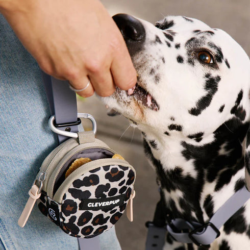 Cleverpup Snackpack Double Insulated Dog Treat Pouch - Leopard