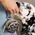 Cleverpup Snackpack Double Insulated Dog Treat Pouch - Leopard
