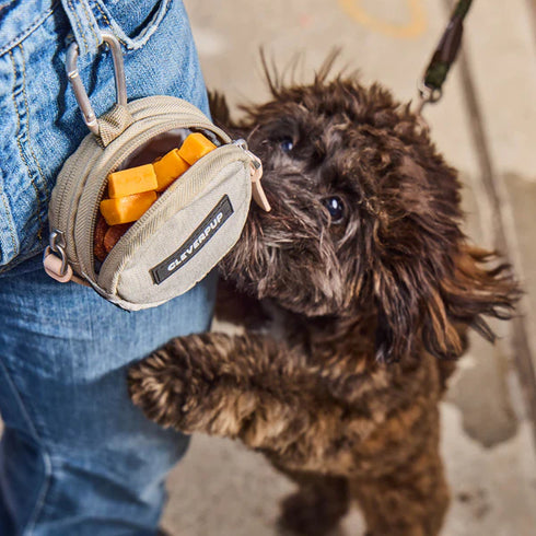 Cleverpup Snackpack Double Insulated Dog Treat Pouch - Sand