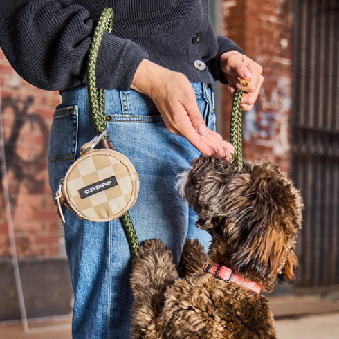 Cleverpup Snackpack Double Insulated Dog Treat Pouch - Checkered