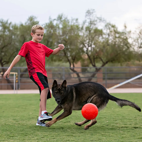 Jolly Pets Soccer Ball Dog Toy - 8" - Orange