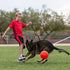 Jolly Pets Soccer Ball Dog Toy - 8" - Orange