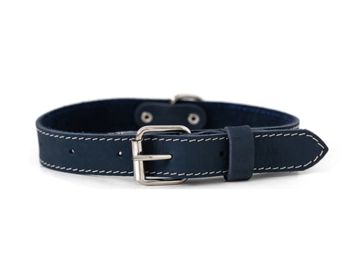 Eurodog Leather Dog Collar - Small 12" - 15" - Navy