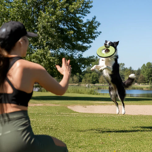 Olly Dog Super Flyer Dog Flying Disc - Palm