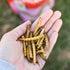 Happy Hen Superworm Snack Chicken Treats - Dried Superworms - 6oz Bag