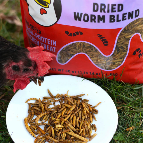 Happy Hen Superworm Surprise Chicken Treats - Dried Worm Blend - 10oz Bag