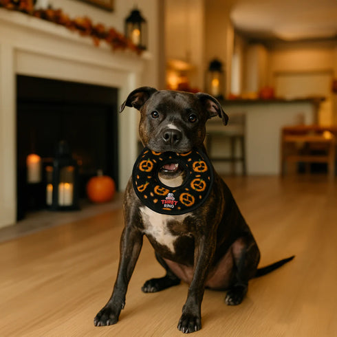 Tuffy's Gear Holiday Ring Pumpkin Dog Toy