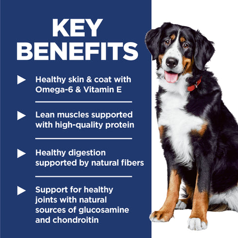 Hill's Science Diet Adult 1-5 Large Breed Dry Dog Food - Lamb & Rice - 33lb Bag