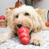 Kong Classic Dog Toy - Medium - Average Chewers