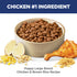 Hill's Science Diet Puppy Large Breed Puppy Dry Dog Food - Chicken & Rice - 15lb Bag