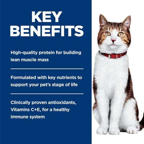 Hills Science Diet Adult 7+ Wet Cat Food - Tender Chicken - 5.5oz Can