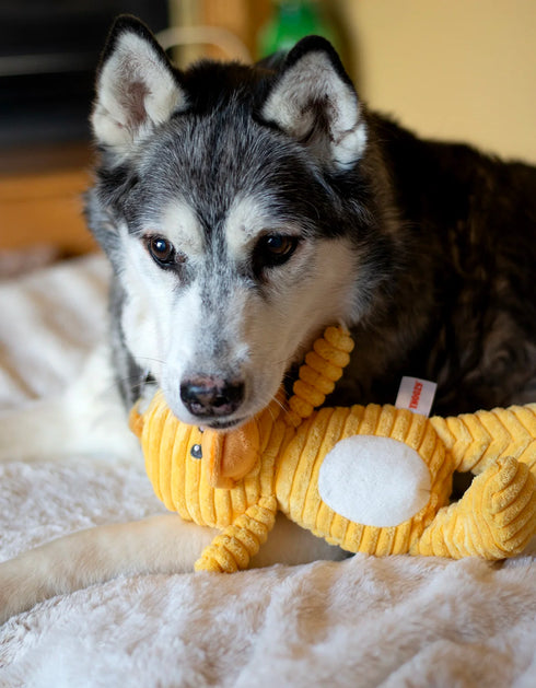 ThoozyPet Tuff & Cuddly Plush Duck Dog Toy - 12.5"