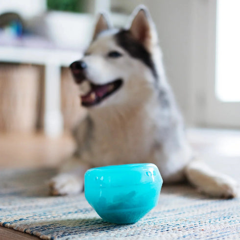 Messy Mutts Totally Pooched Stuff 'N Wobble Dog Toy