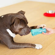 Messy Mutts Totally Pooched Stuff 'n' Shake Puzzle Dog Toy - 5"