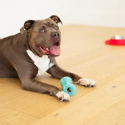 Messy Mutts Totally Pooched Stuff 'n' Shake Puzzle Dog Toy - 5"